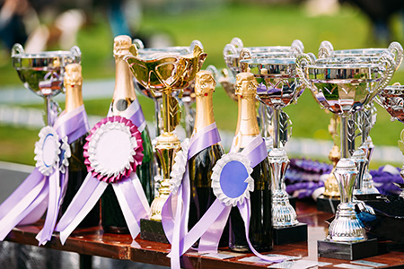 Champion trophies and winners cups